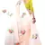 Peach printed satin saree with blouse