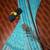 Sky blue printed cotton saree with blouse