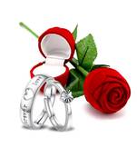 Silver american_diamonds Rhodium Alloy 2 Finger Ring   Red Rose Box