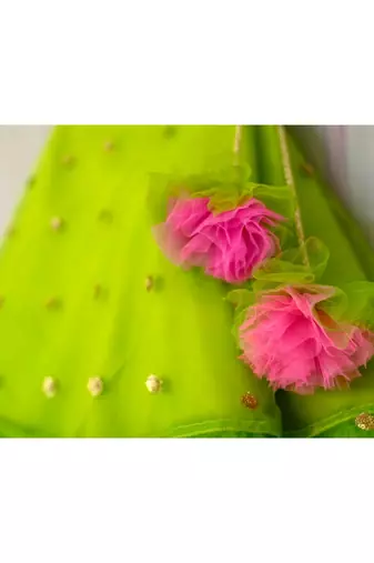 fuchsia pink and green hand embroidered zari work lehenga