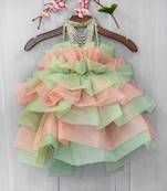 organza hand embroidered studded gown