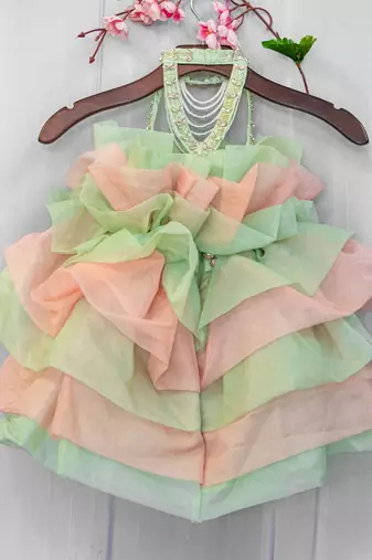 organza hand embroidered studded gown