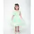 Green Sequins Net Dress