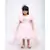 Golden Shimmer and Pink Glitter Net Frock