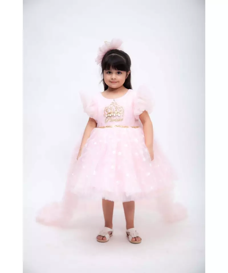 Golden Shimmer and Pink Glitter Net Frock