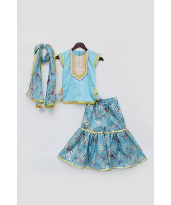 Pink Choli With Embroidery Lehenga 1