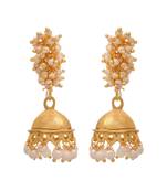 Gold pearl earrings