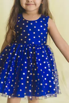 SAKA DESIGNS Party Wear Frcok