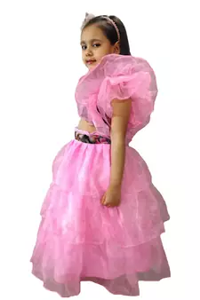 Anitabalia_label BABY GIRL'Organza  Blouse, with beautiful Rose Flower, LEHENGA CHOLI FULLY STITCHED. PINK