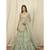 Olive Green Embrodary Work  Net with Raw Silk  Cancan Lehenga Choli