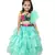 Anitabalia_label BABY GIRL'Organza  Blouse, with beautiful Rose Flower sleeve, LEHENGA CHOLI FULLY STITCHED.Seagreen