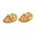 Gold plated Earrings