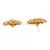 Gold plated Earrings