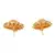Gold earrings