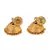 Gold plated Earrings