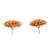 Gold plated Earrings