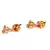 Gold plated Earrings