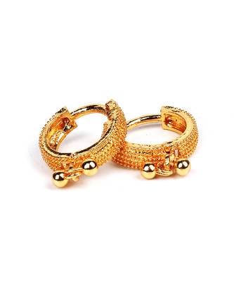 Gold Plated Earrings 2