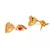 Gold plated Earrings