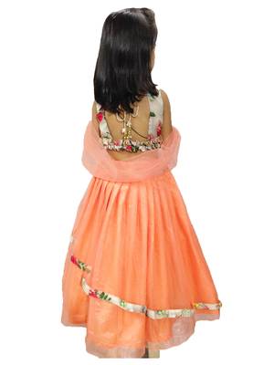 Anita Balia Label Baby Girllehenga choli ' italian crepe Blouse with organza lahenga and dupatta.FULLY STITCHED. Peach 2
