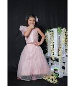 Sleeveless Feathered Top with Ghagra