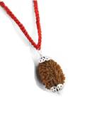 Raviour Lifestyle Natural 2 Mukhi Two Face Rudraksha Silver Pendant Do Mukhi Orignal Pendant Silk Dori Pendant
