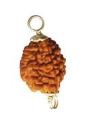 Raviour Lifestyle Natural 2 Mukhi Two Face Rudraksha Silver Pendant Do Mukhi Orignal Pendant Silk Dori Pendant