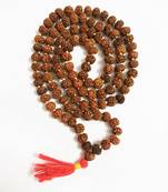 Raviour Lifestyle 5 Mukhi Rudraksha Mala for Pooja (Astrology)  Rashis for Unisex (108 +1 Beads)