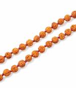 Raviour Lifestyle Rudraksha mala Jaap Organic Jewellery Mala 100% Original 108 Beads Wood (Brown)