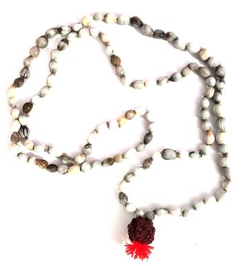 White plain yellow gold Beads  bead 1