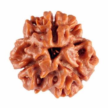 Raviour Lifestyle Natural 3 Mukhi Nepali Rudraksha Brown Colour (Three face) Pure Siddha for Men Women 1