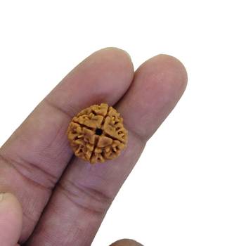Raviour Lifestyle 4 Mukhi Nepali Rudraksha / 4 Faced (Four Mukhi) Genuine Rudraksh Round Shape 1