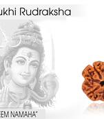 4 Mukhi (Four Faced) Nepali Rudraksha, Original & Natural Nepali Rudraksha Bead For Astrological Benefits
