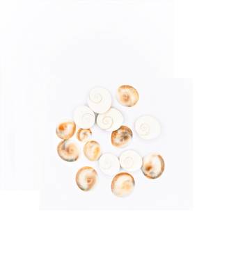 Raviour Lifestyle Maha Laxmi Gomti Chakra (15 Pieces) For Bring Prosperity & Happiness Decorative Showpiece Mix Size 1