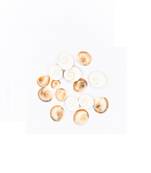 Raviour Lifestyle Maha Laxmi Gomti Chakra (15 Pieces) For Bring Prosperity & Happiness Decorative Showpiece Mix Size