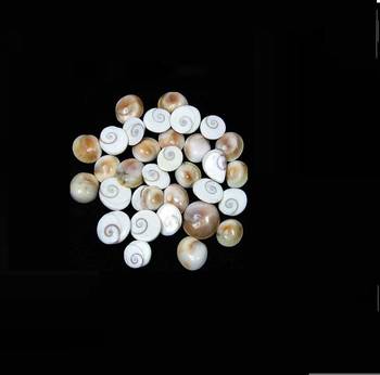 Gomti Chakra Shell (21 Pieces) For Good Health & Wealth Protect Children From Evil Effects  1