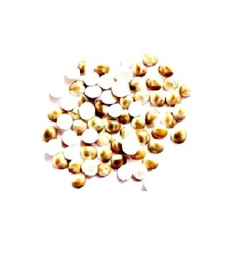 Natural Gomti Chakra (51 Pieces) For Laxmi Pooja, Bring Prosperity, Good Health & Wealth Decorative Showpiece Mix Size 1