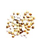 Natural Gomti Chakra (51 Pieces) For Laxmi Pooja, Bring Prosperity, Good Health & Wealth Decorative Showpiece Mix Size