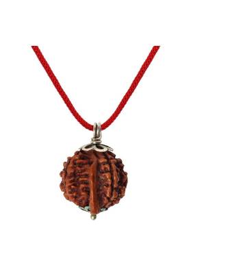Raviour Lifestyle 6 Mukhi Rudraksha Pendant 6 Faced Nepali Rudraksh Bead Original & 100 % Certified Pendant 1
