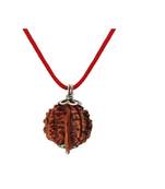 Raviour Lifestyle 6 Mukhi Rudraksha Pendant 6 Faced Nepali Rudraksh Bead Original & 100 % Certified Pendant