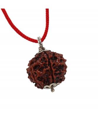 Raviour Lifestyle Seven Mukhi Rudraksha Pendant Seven Faced Nepali Rudraksh Bead 100% Original & Certified Pendant 1
