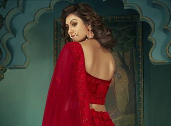 Red Net Embroidered  CancanLehenga Choli 2