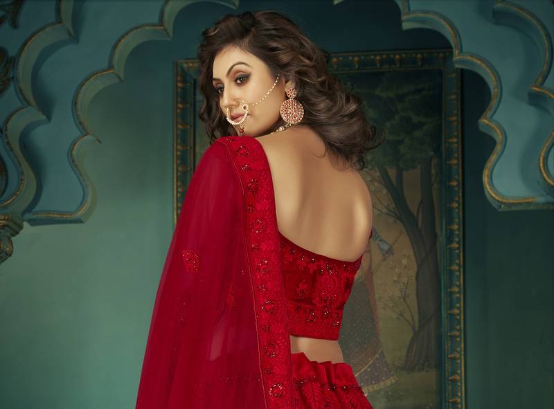 Red Net Embroidered  CancanLehenga Choli