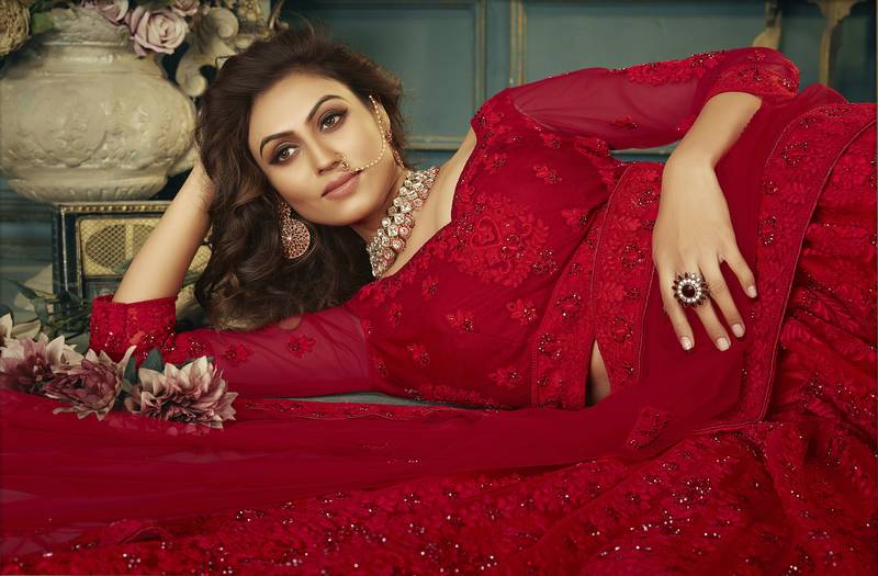 Red Net Embroidered  CancanLehenga Choli