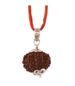 Raviour Lifestyle 10 Mukhi Rudraksha Pendant Ten Faced Nepali Rudraksh Bead Original & Certified Pendant
