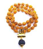 Raviour Lifestyle Lord Shiv Shakti 5 Mukhi Shiv Trishul Damru With Rudraksha Mala