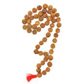Raviour Lifestyle 5 Mukhi Original Rudraksha Mala Big Beads Kantha Mala