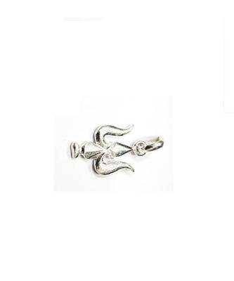 Raviour Lifestyle Trishul shiv trishul 1