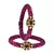 Brass And Acrylic Bangles Color-Rani