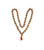 Raviour Lifestyle Magnetic Bracelet for Positive Energy and Good Luck Benefits